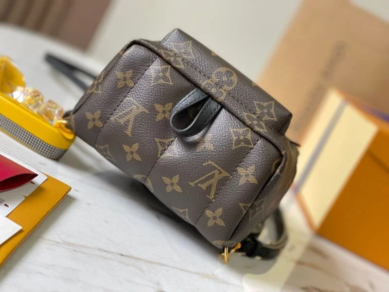 Vibrant Louis Vuitton Backpacks 40164