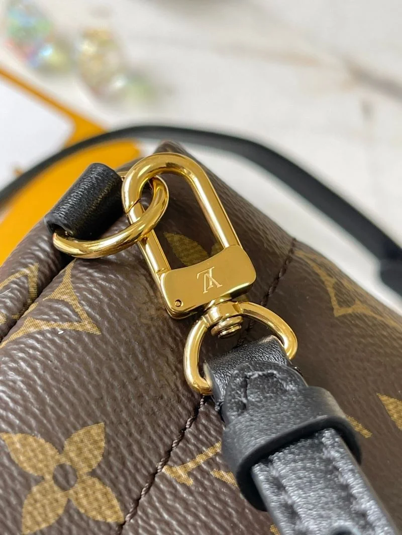 Vibrant Louis Vuitton Backpacks 40164