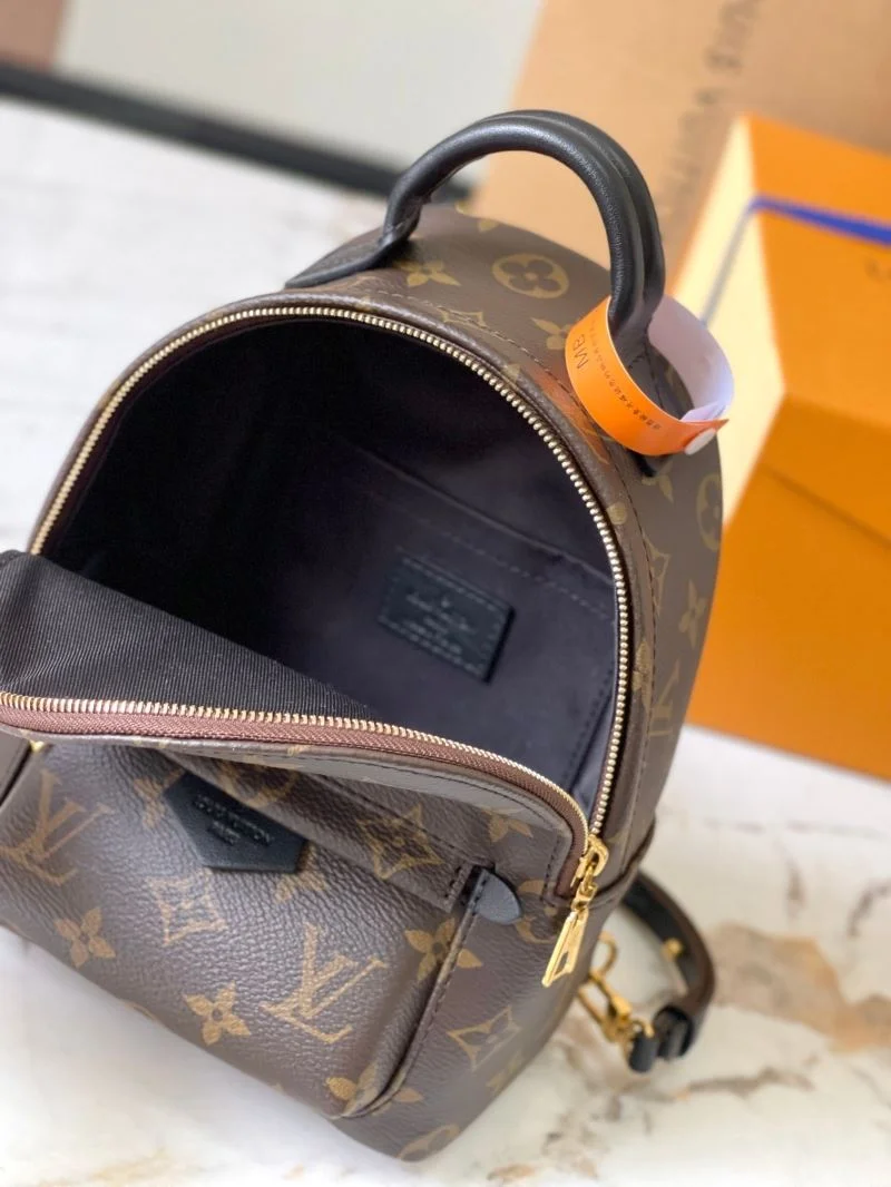 Vibrant Louis Vuitton Backpacks 40164