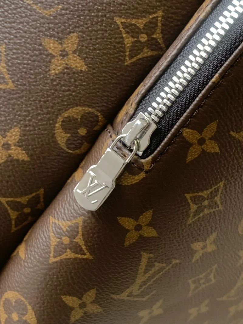 Bright Louis Vuitton Backpacks 39303