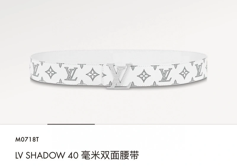 ZipUp Louis Vuitton Belts 298738