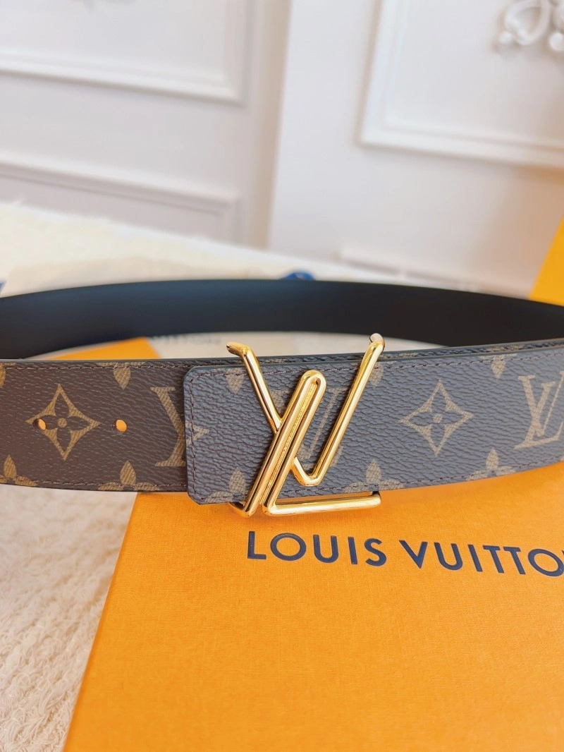 ZipUp Louis Vuitton Belts 298533