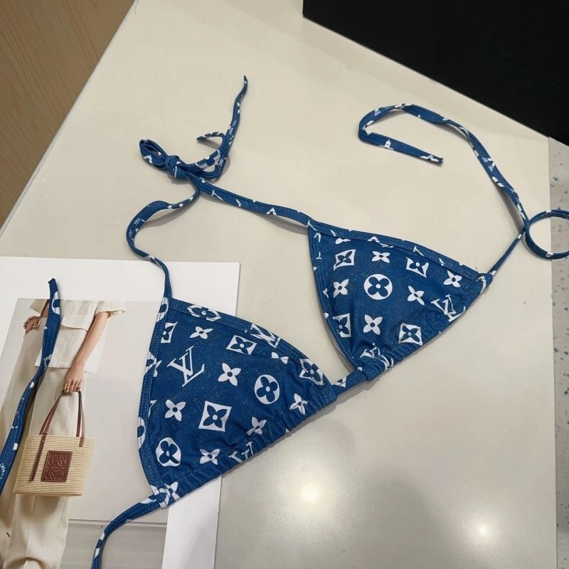 MultiPurpose Louis Vuitton Bikins 256041