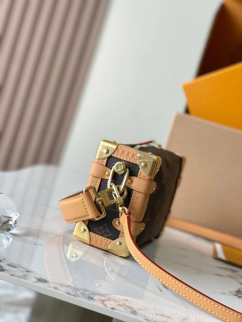 GoAnywhere Louis Vuitton Box Bags 93667