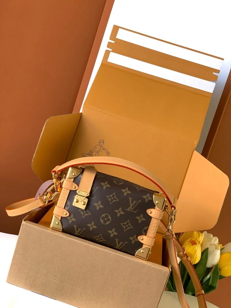 EasyMatch Louis Vuitton Box Bags 93668