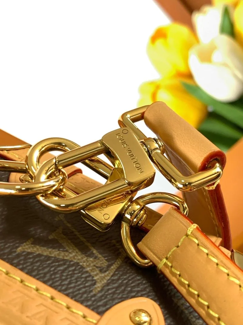 Bright Louis Vuitton Box Bags 41987