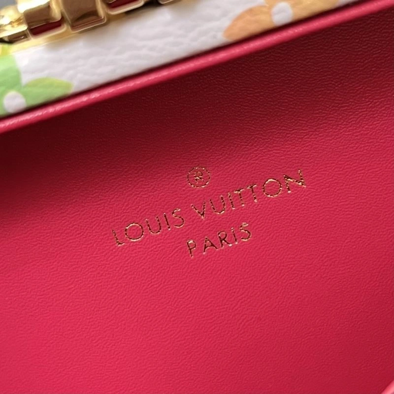 Youthful Louis Vuitton Box Bags 83509