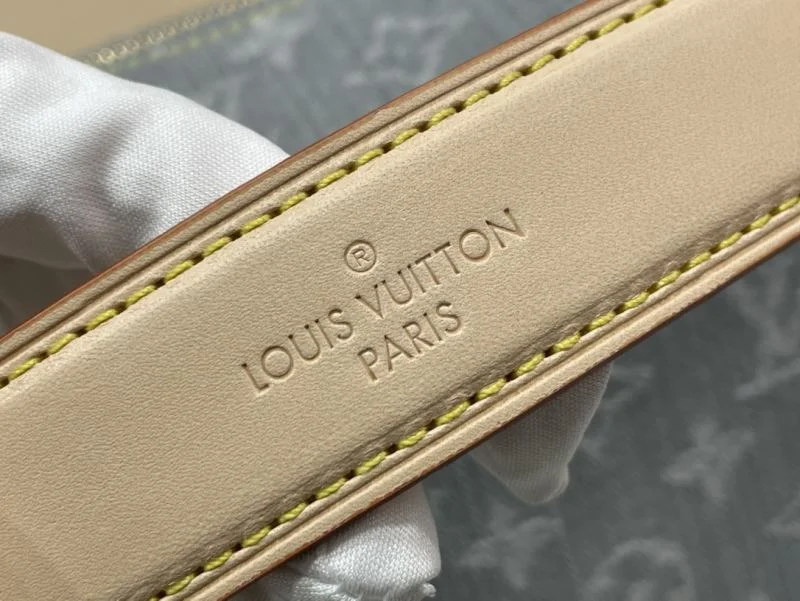 GoAnywhere Louis Vuitton Box Bags 40775
