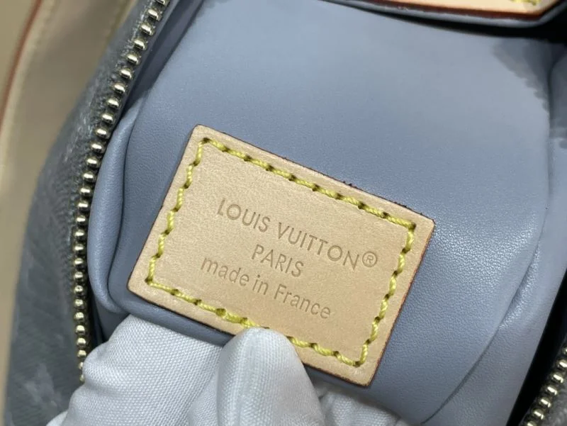 GoAnywhere Louis Vuitton Box Bags 40775