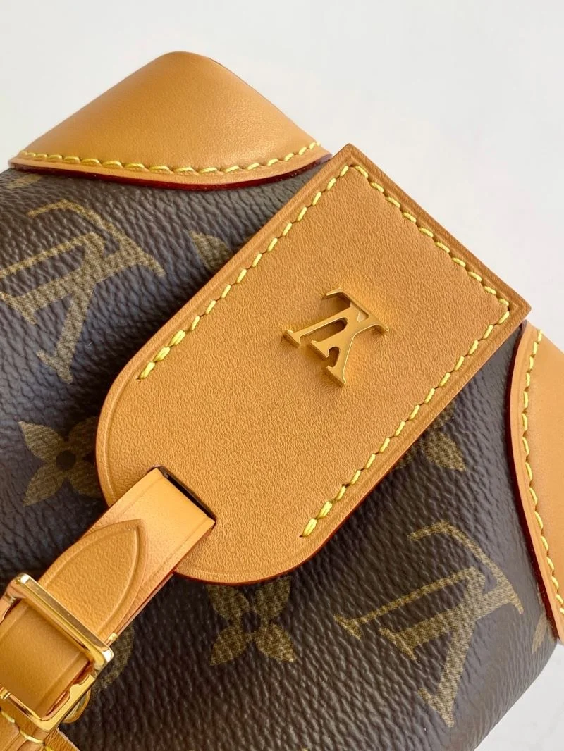Versatile Louis Vuitton Bucket Bags 39287