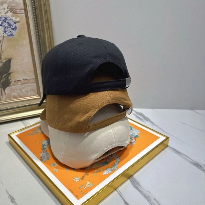 Practical Louis Vuitton Caps 258246