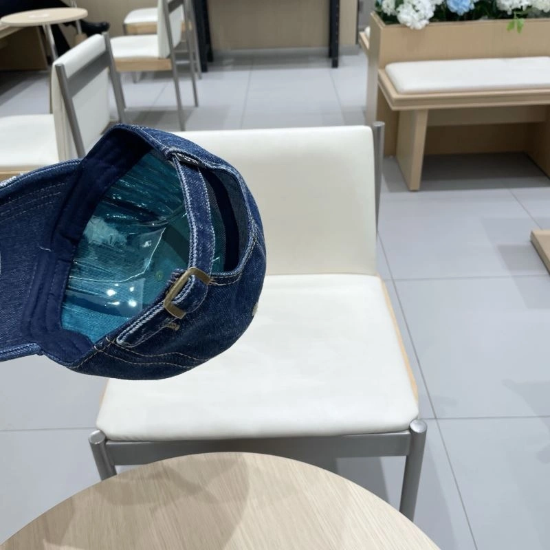 TravelReady Louis Vuitton Caps 258161