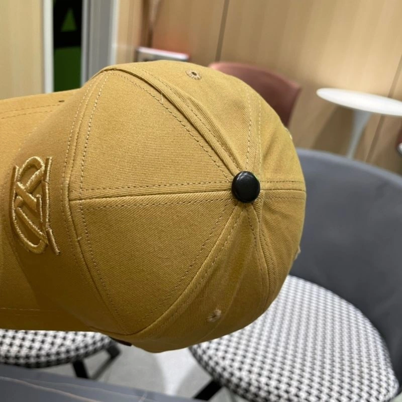 DailyWear Louis Vuitton Caps 257863