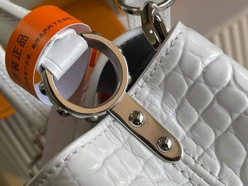 Colorful Louis Vuitton Capucines BB Bags 93977