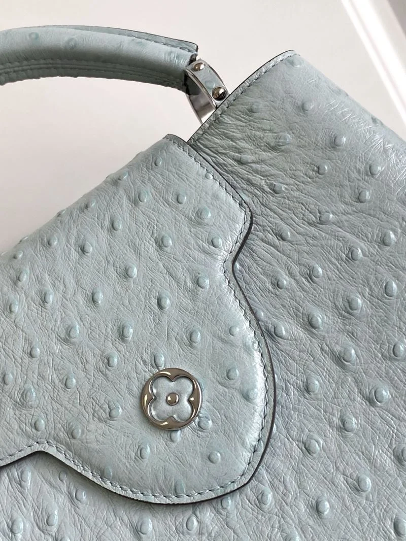 Louis Vuitton Capucines BB Bags Thermal 41334