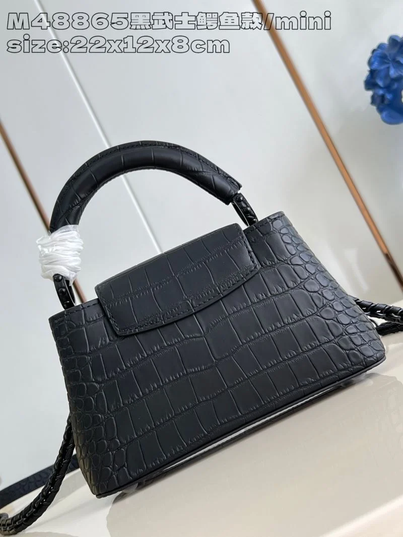 Louis Vuitton Capucines BB Bags Practical 41314