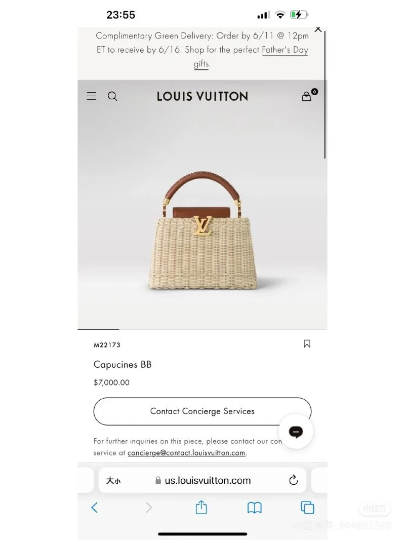 SportInspired Louis Vuitton Capucines BB Bags 41351