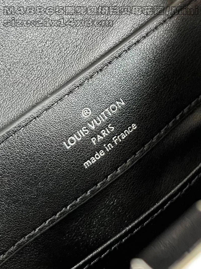 Louis Vuitton Capucines BB Bags FastDry 41302