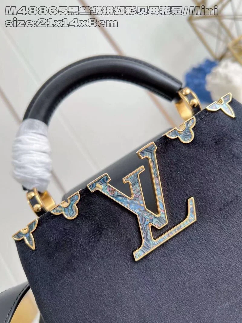 Louis Vuitton Capucines BB Bags TravelReady 41276