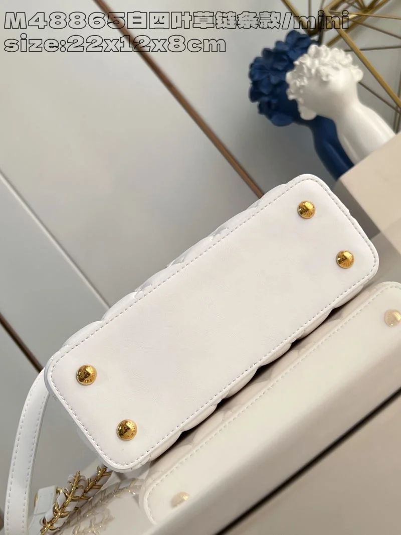 DailyWear Louis Vuitton Capucines BB Bags 41295