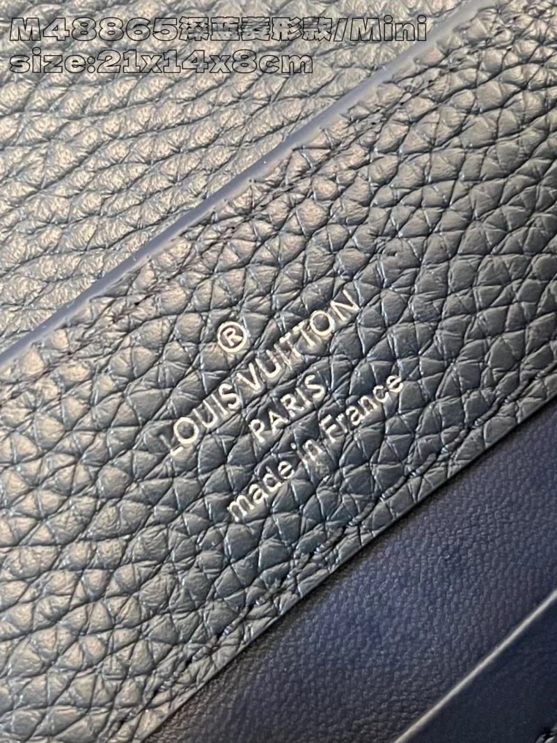 Louis Vuitton Capucines BB Bags Packable 41257