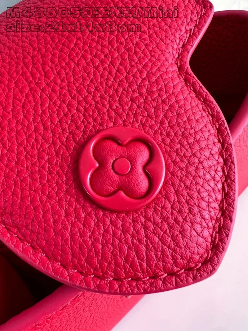 Practical Louis Vuitton Capucines BB Bags 41252