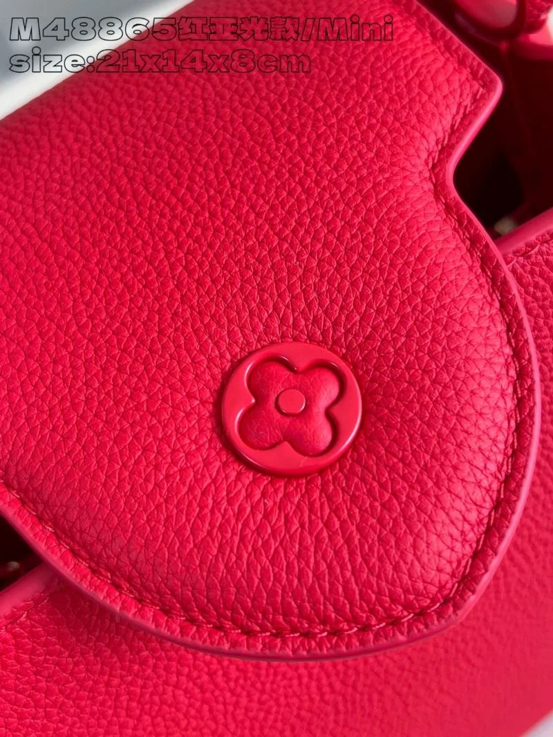 Louis Vuitton Capucines BB Bags DailyWear 41251