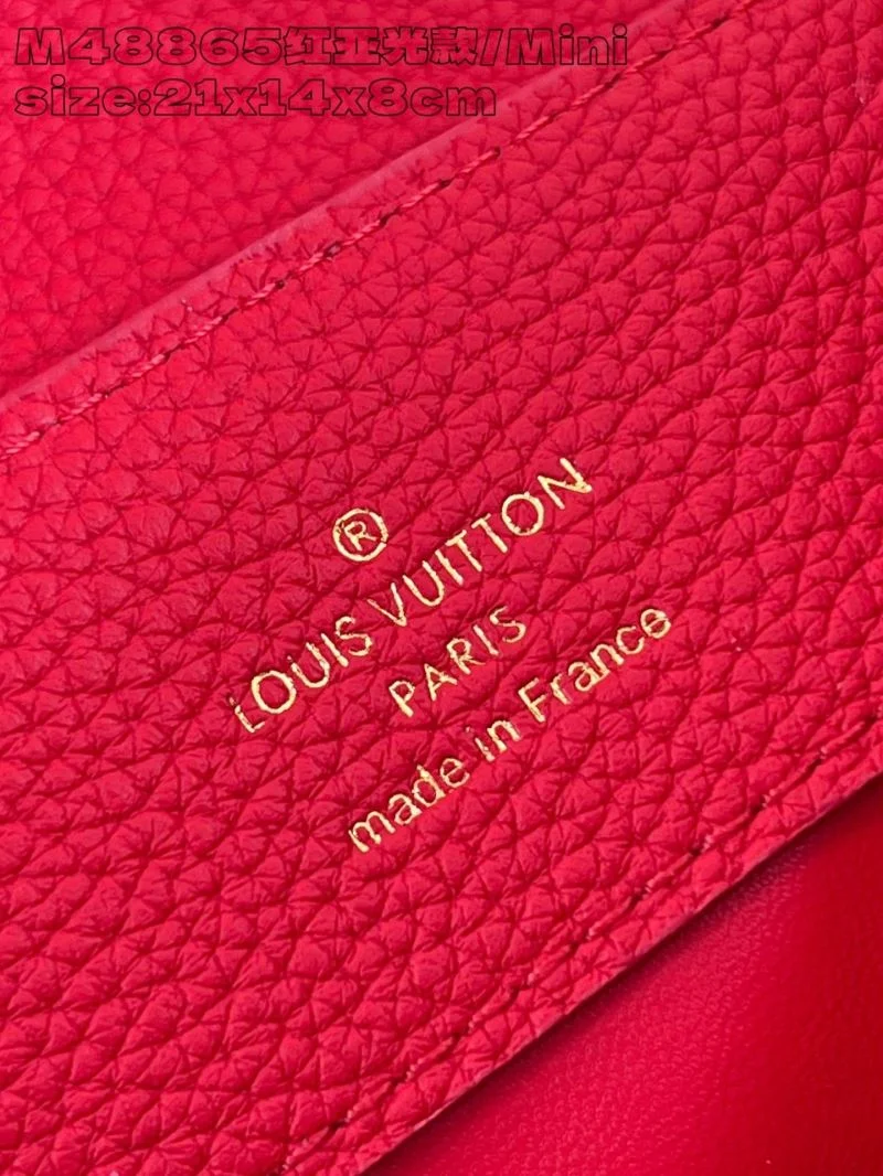 Louis Vuitton Capucines BB Bags DailyWear 41251
