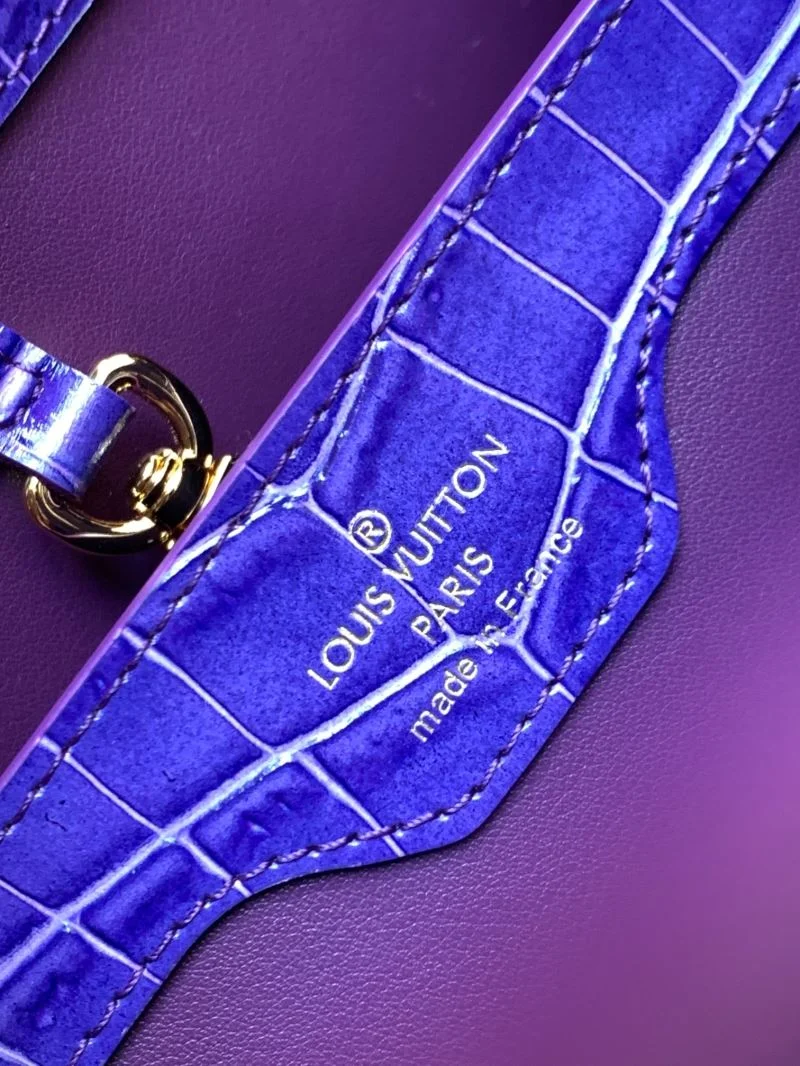 Modern Louis Vuitton Capucines BB Bags 40093