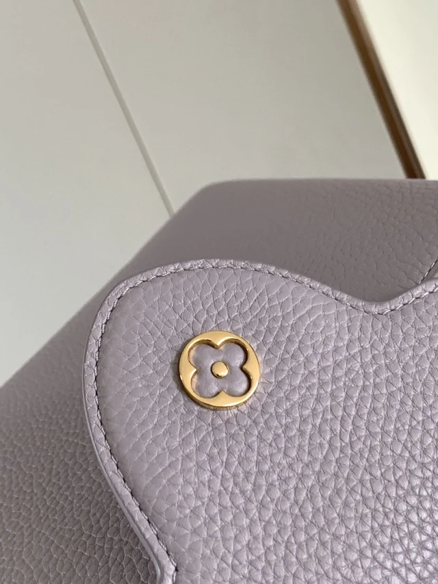 Louis Vuitton Capucines BB Bags AllSeason 40043