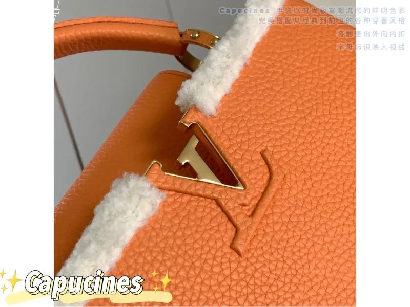 Seasonal Louis Vuitton Capucines BB Bags 40052