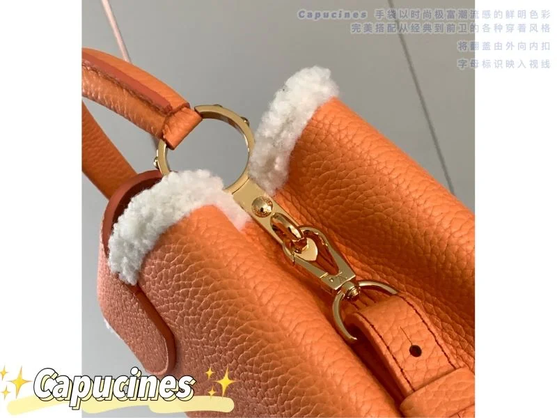 Seasonal Louis Vuitton Capucines BB Bags 40052