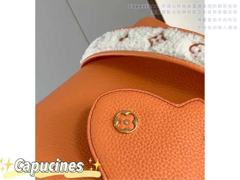 Seasonal Louis Vuitton Capucines BB Bags 40052