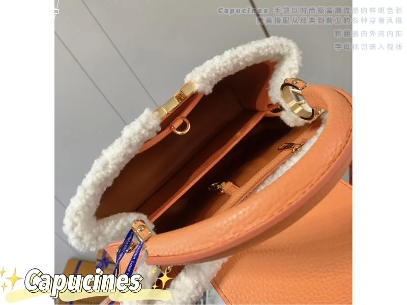 Seasonal Louis Vuitton Capucines BB Bags 40052