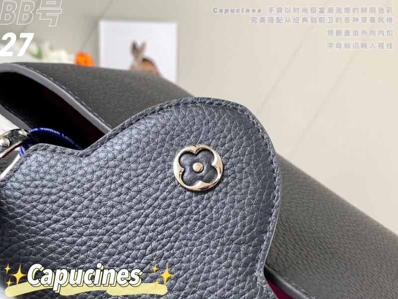 Louis Vuitton Capucines BB Bags Snug 40054