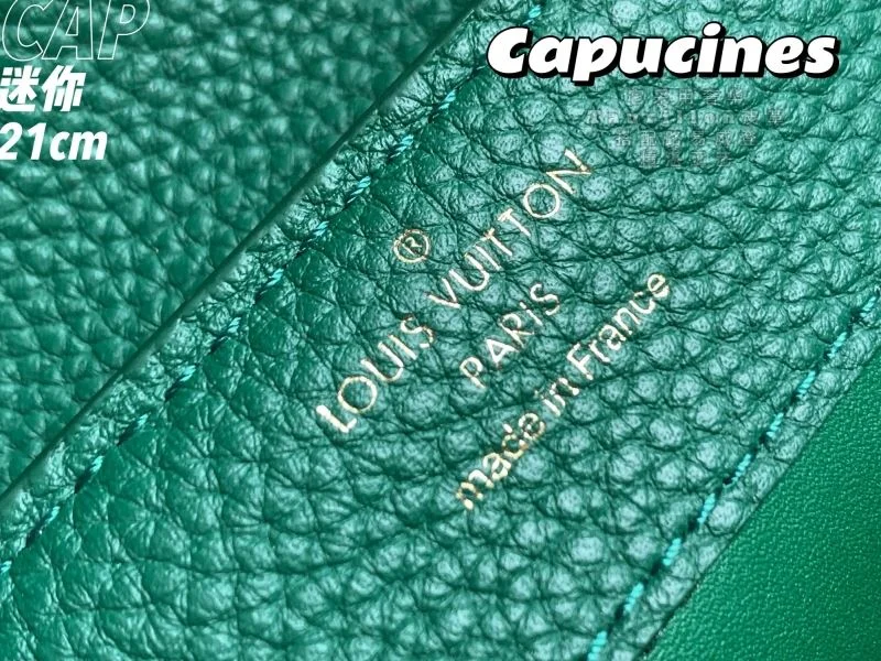 Louis Vuitton Capucines BB Bags WeatherProof 39907