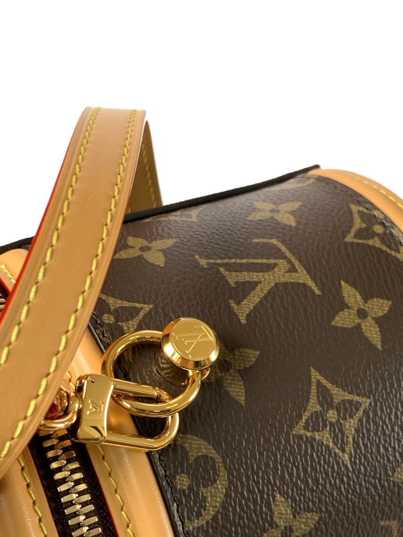 EyeCatching Louis Vuitton Cosmetic Bags 93646