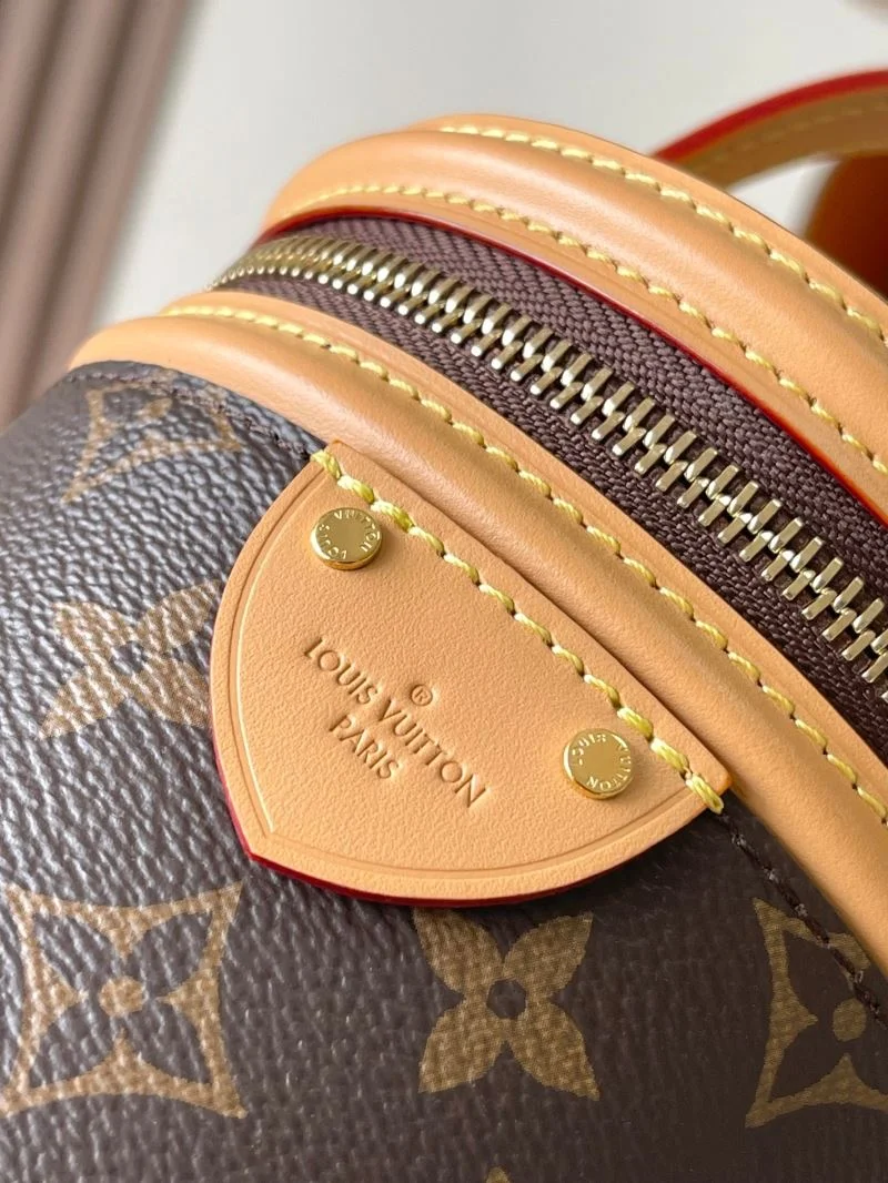 Modern Louis Vuitton Cosmetic Bags 41226