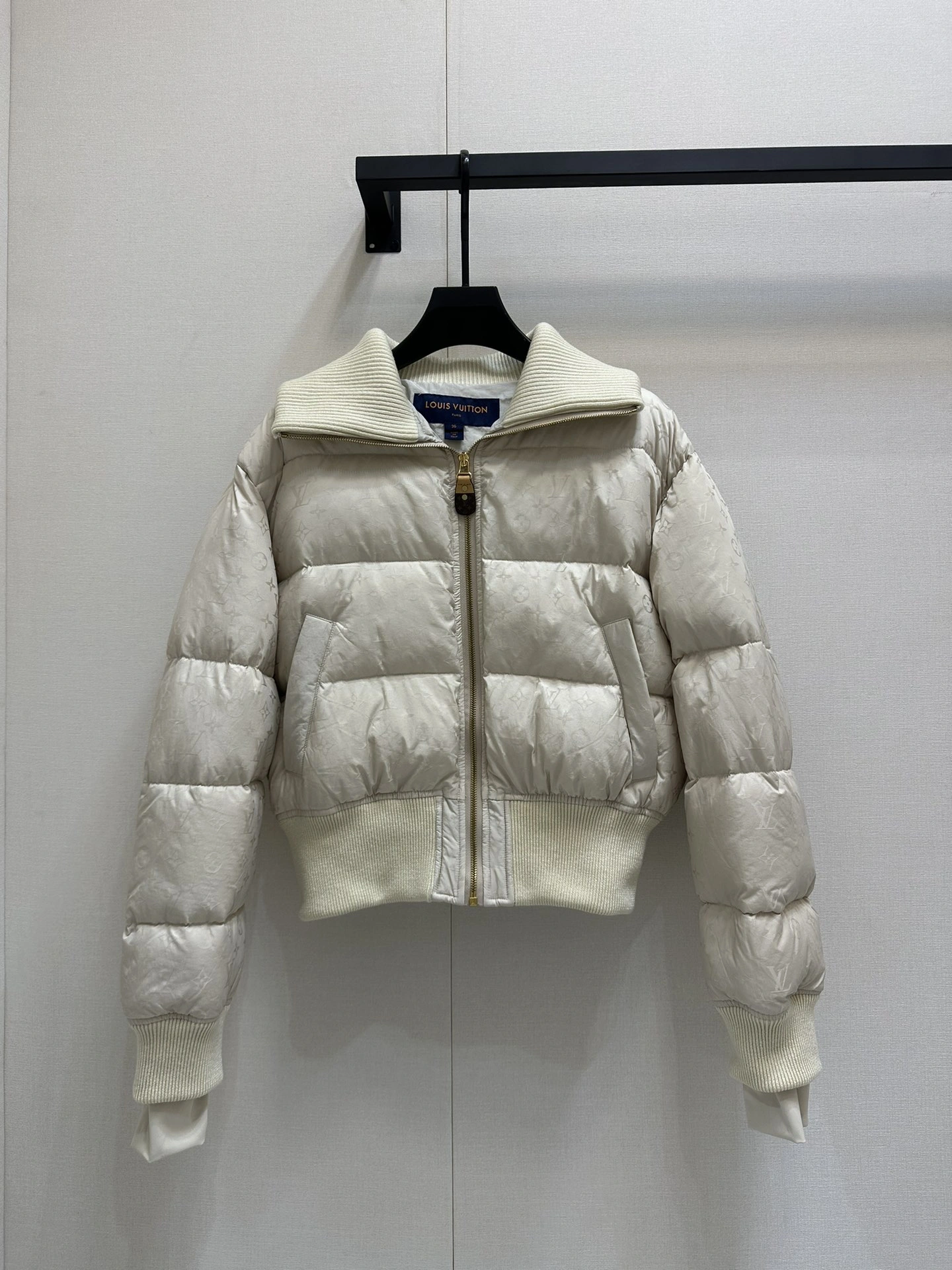 Louis Vuitton Down Jackets AllSeason 139482