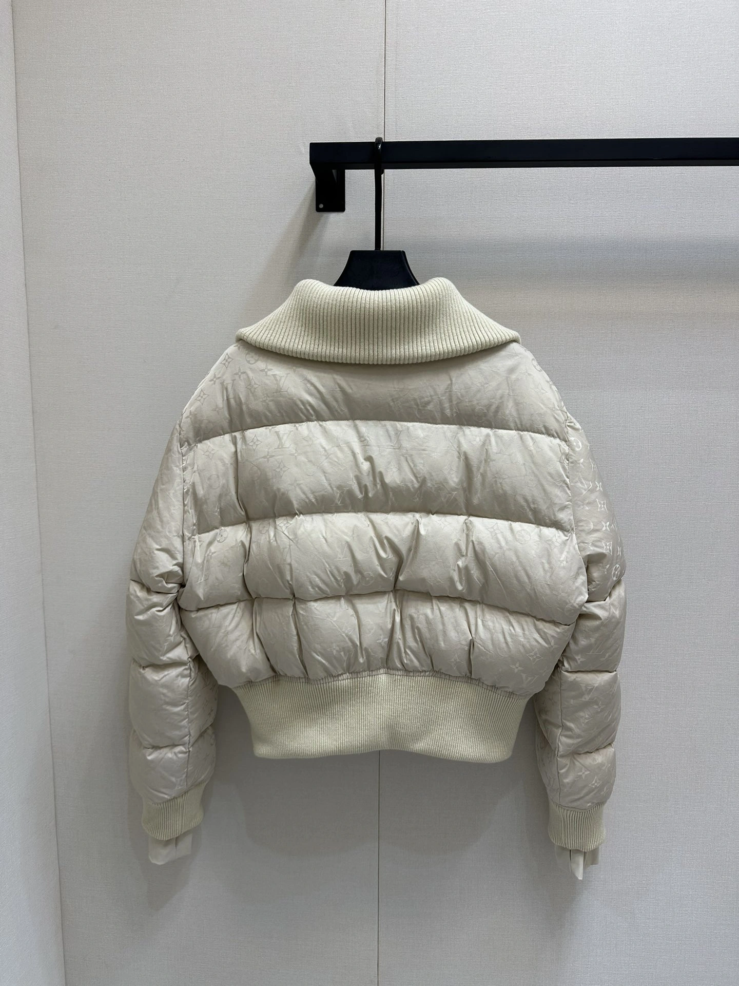 Louis Vuitton Down Jackets AllSeason 139482