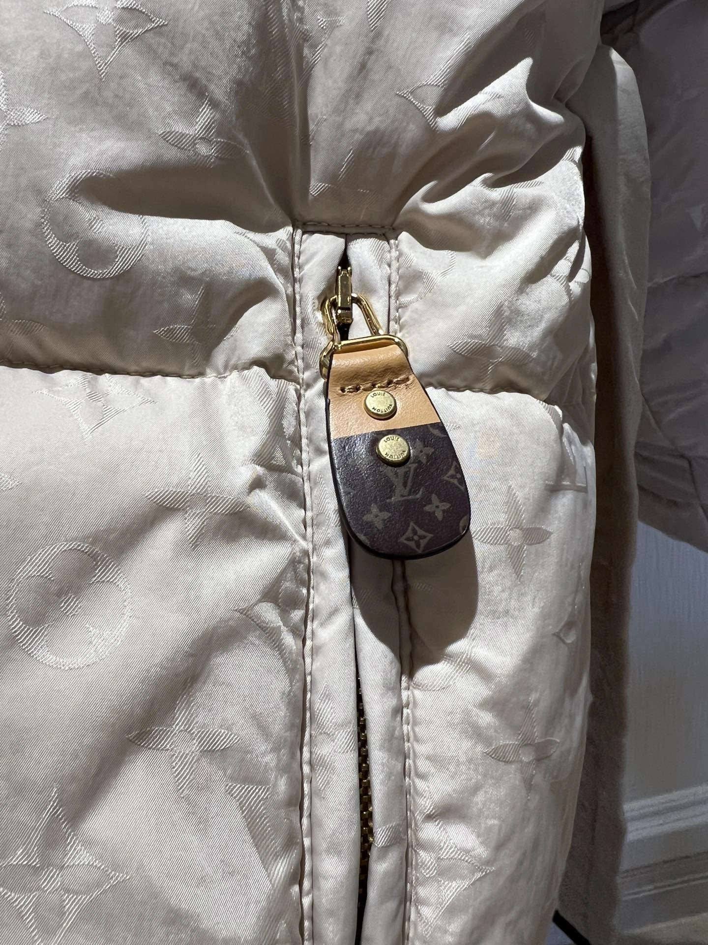 Comfortable Louis Vuitton Down Jackets 139468