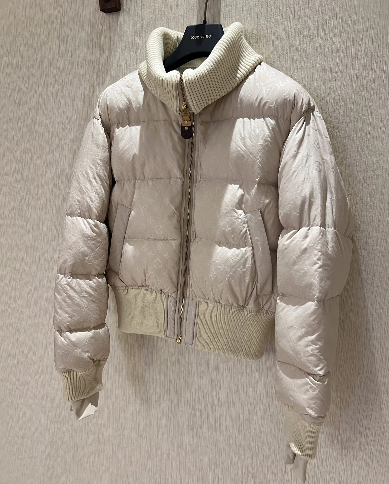 Comfortable Louis Vuitton Down Jackets 139481