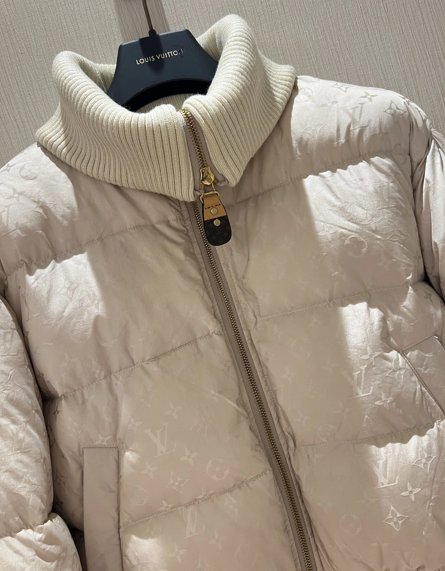 Comfortable Louis Vuitton Down Jackets 139481