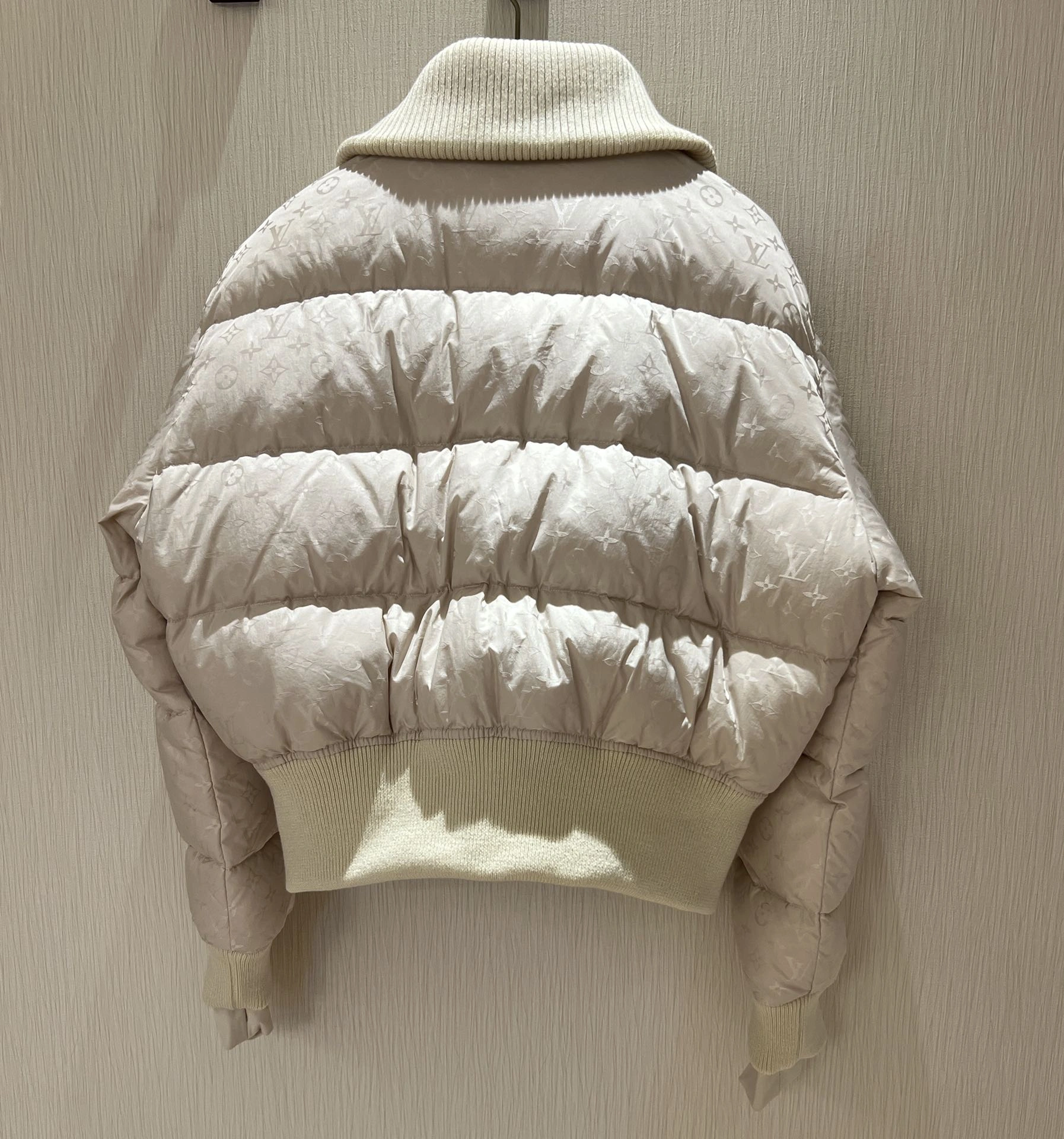 Comfortable Louis Vuitton Down Jackets 139481