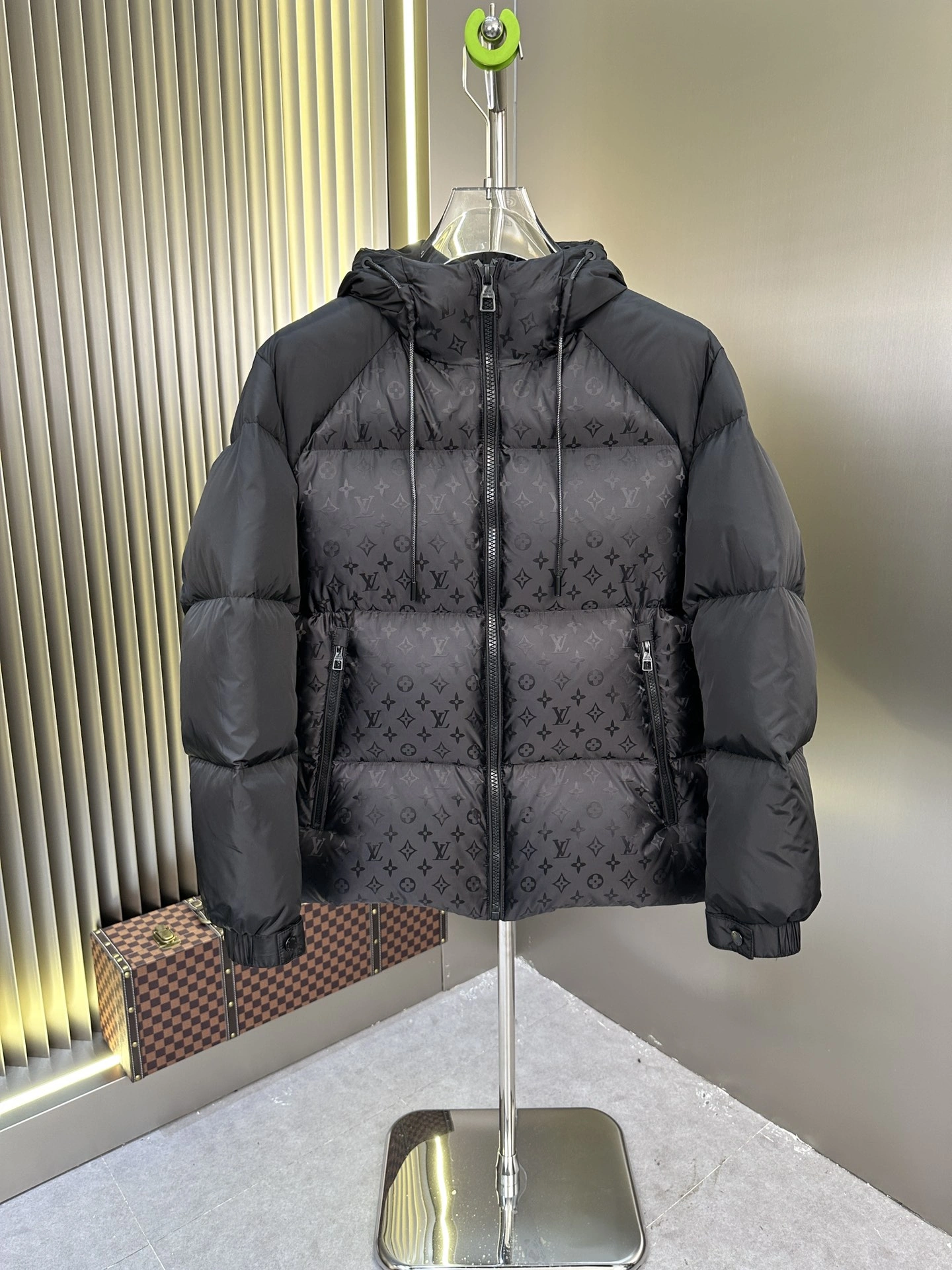Louis Vuitton Down Jackets Bold 139471
