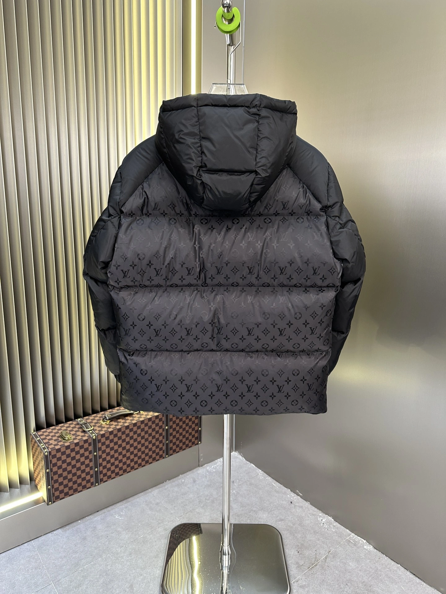 Louis Vuitton Down Jackets Bold 139471