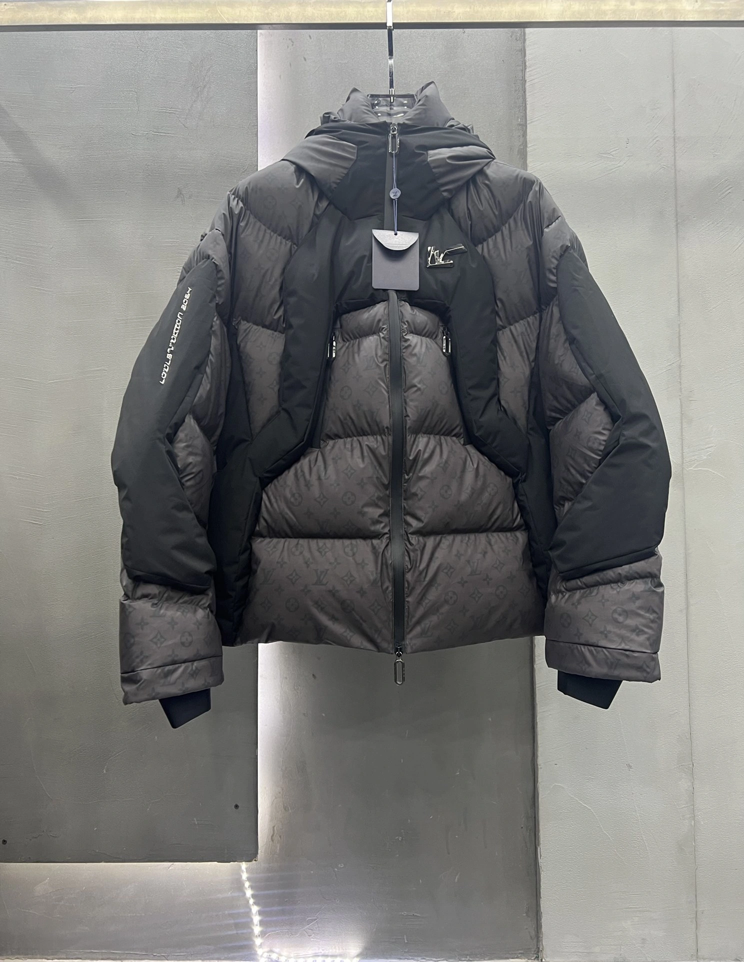 Elegant Louis Vuitton Down Jackets 139456