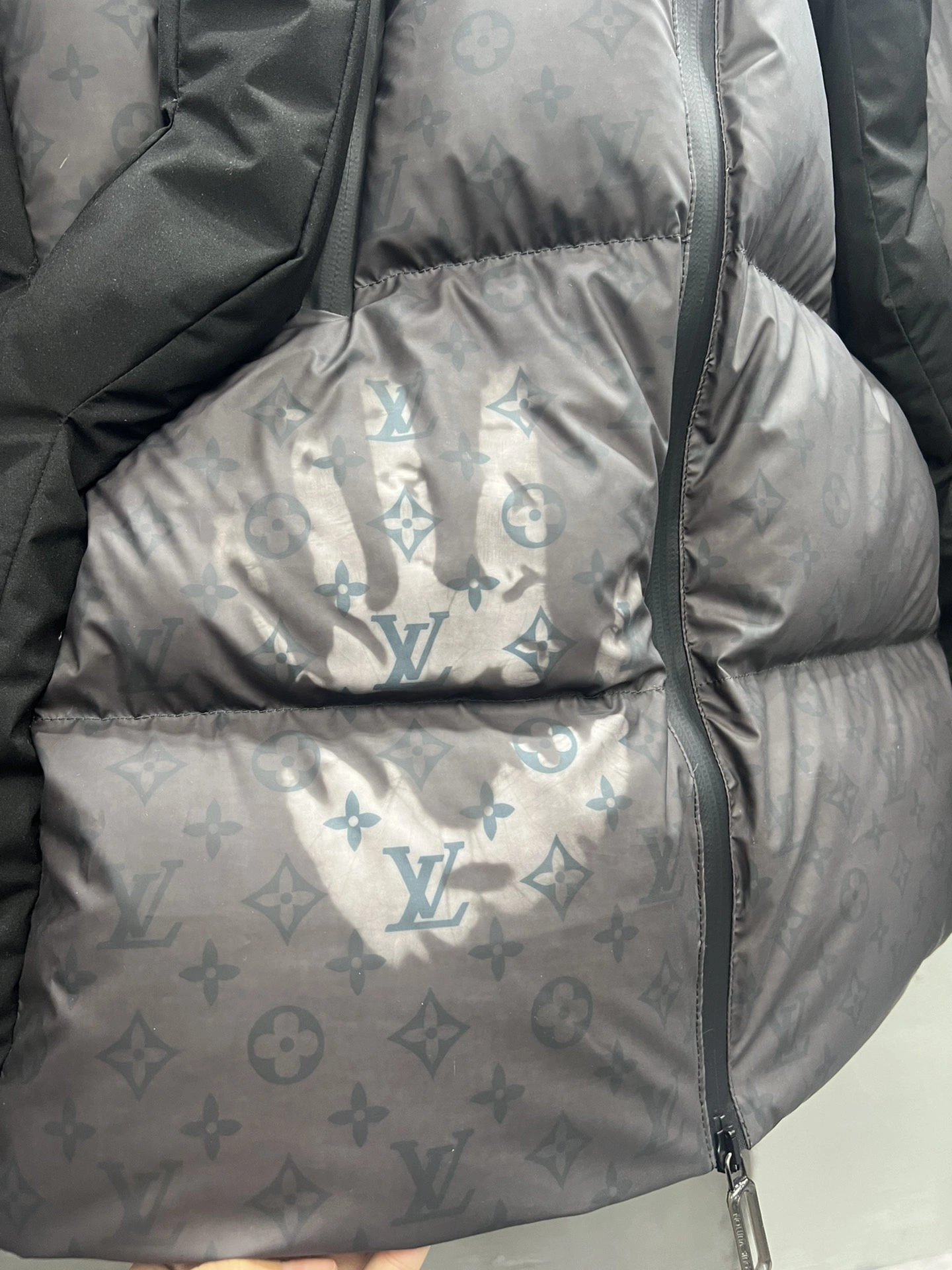 Elegant Louis Vuitton Down Jackets 139456