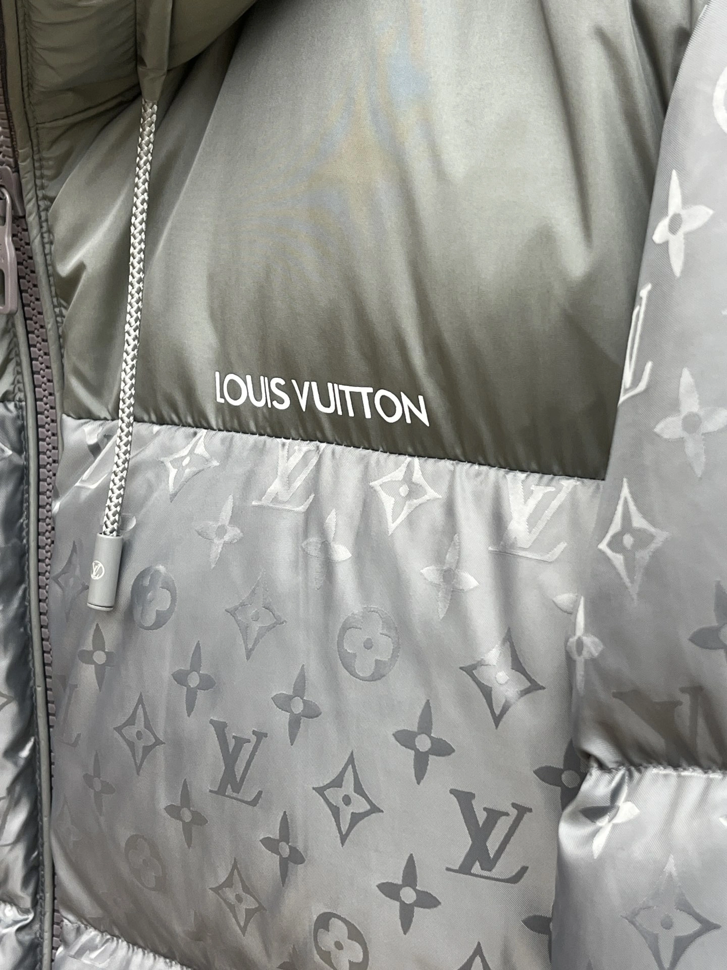 Trendsetting Louis Vuitton Down Jackets 139479