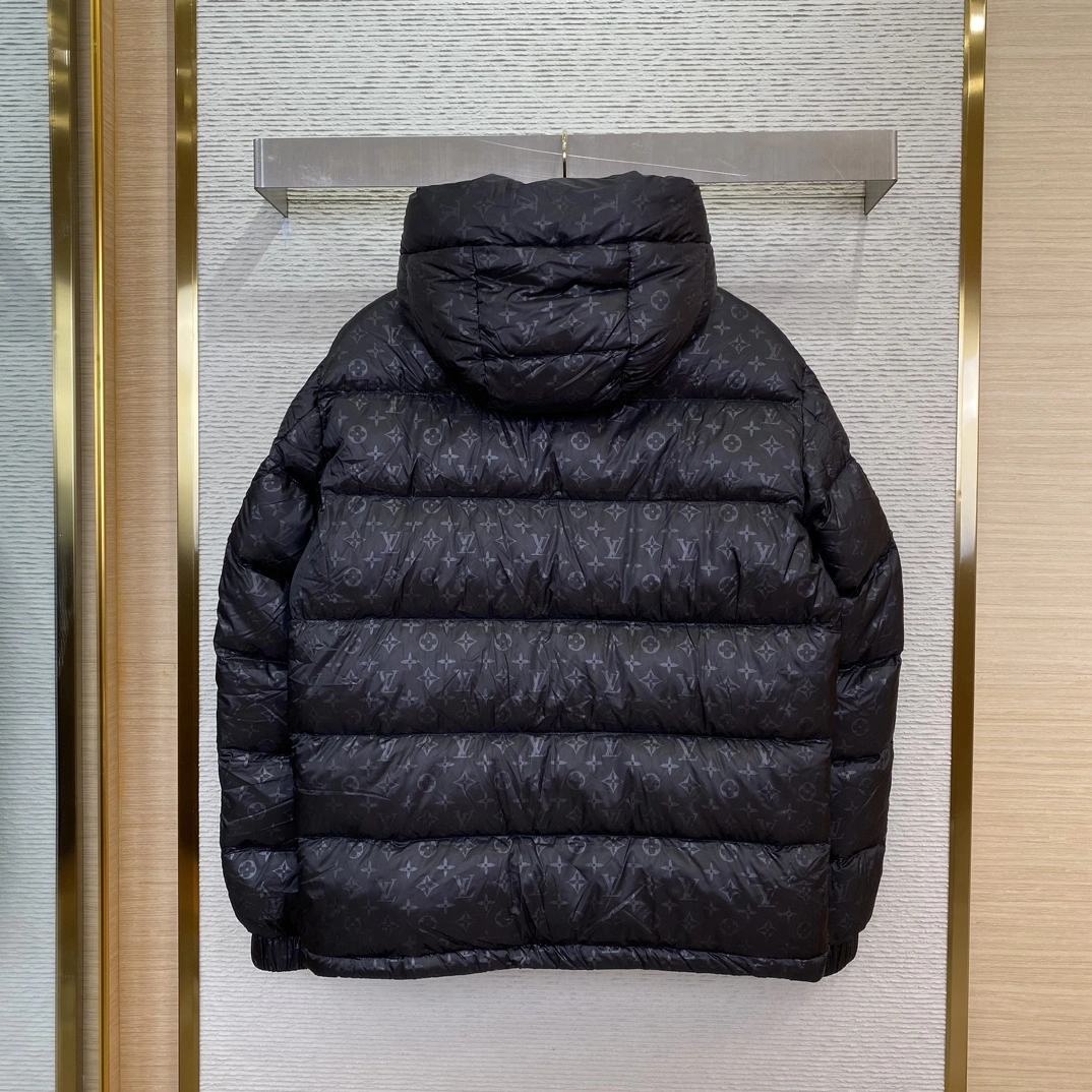 Neat Louis Vuitton Down Jackets 139458